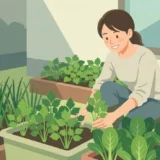 日当たりが悪い庭でも育つ家庭菜園の野菜・ハーブ10選