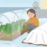 冬の家庭菜園の防寒対策｜不織布・ビニールトンネルの使い方と使い分け