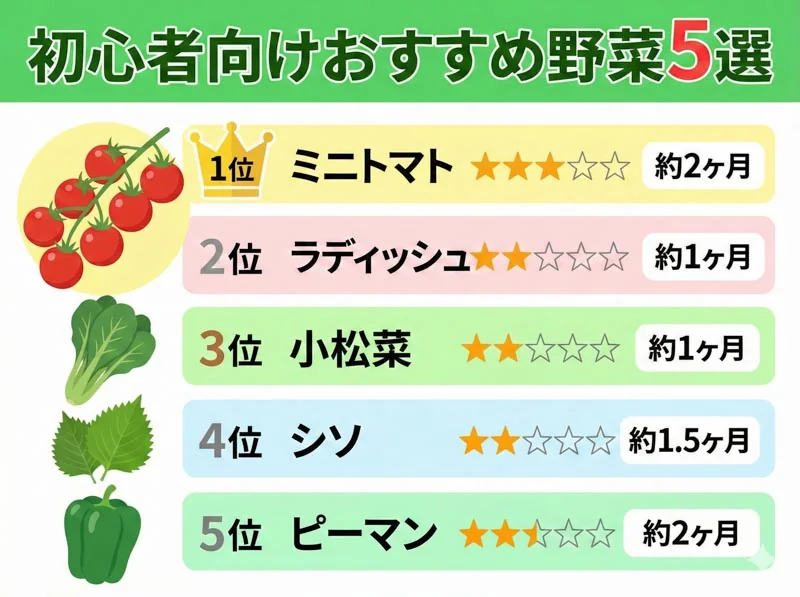 011 osusume
