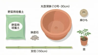 ミニトマトをプランターで育てる基本｜支柱・水やり・収穫まで完全ガイド