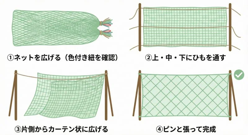 020 net setup