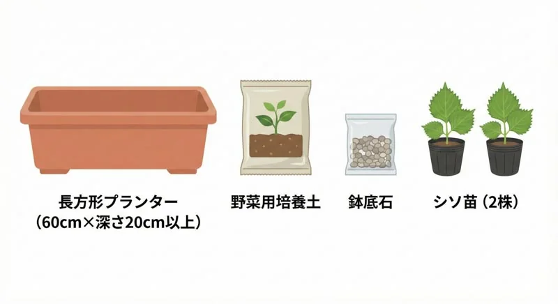 ベランダでシソを育てる方法｜摘心で1株100枚収穫を目指すコツ