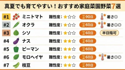 真夏でも育てやすい家庭菜園の野菜7選｜暑さ対策と水やりのコツ