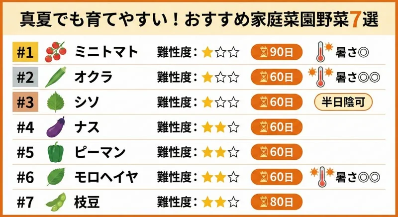 真夏でも育てやすい家庭菜園の野菜7選｜暑さ対策と水やりのコツ