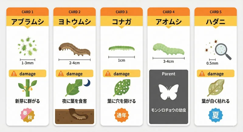 農薬を使わない家庭菜園の害虫対策｜予防が8割のコツ