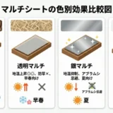 マルチシートの張り方と効果｜雑草・乾燥・泥はねを防ぐ