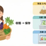 収穫した野菜の保存方法｜常温・冷蔵・冷凍の使い分け