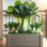 チンゲンサイのプランター栽培｜短期間で収穫できる初心者野菜