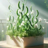 スナップエンドウのプランター栽培｜支柱の立て方と収穫のコツ