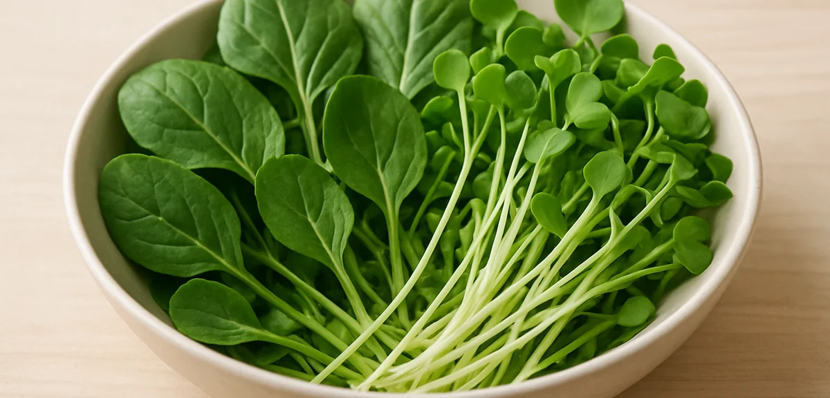 A bowl of fresh thinned vegetables - small komatsuna leaves and daikon seedlings - ready to be used 