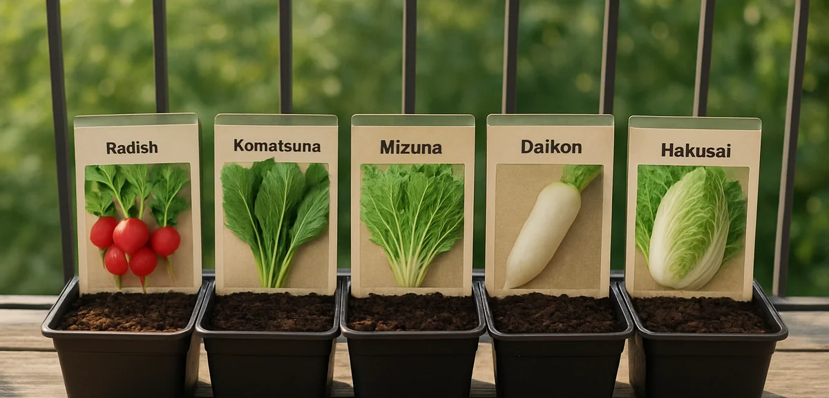 A variety of autumn vegetable seed packets and small planters lined up on a balcony in late summer -