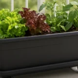 Planter ukezara thumbnail
