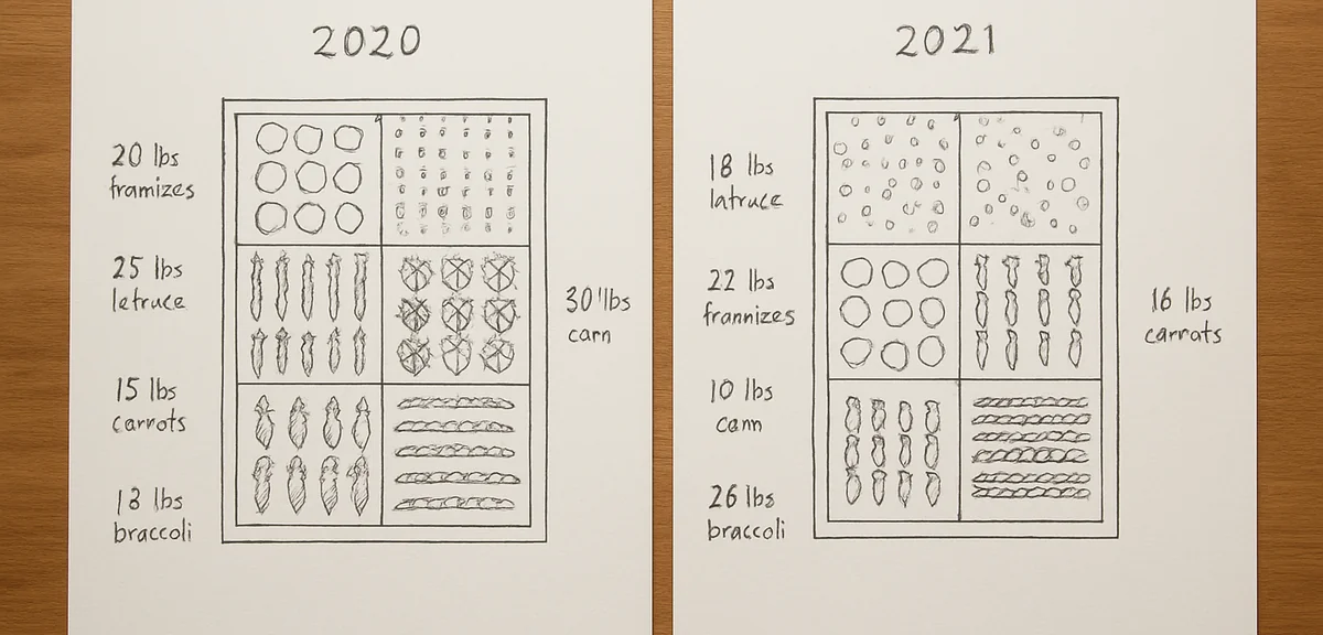 Two garden layout plans from different years laid side by side on a table with handwritten harvest n